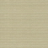 Kasmir Burke Silt Fabric