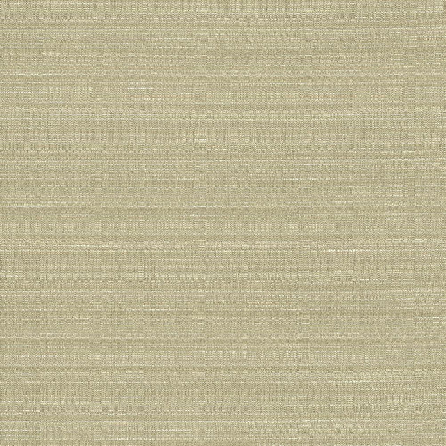 Kasmir Burke Silt Fabric