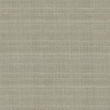 Kasmir Burke Sterling Fabric