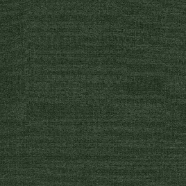 Kasmir Flynn Forest Fabric
