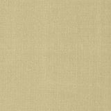 Kasmir Flynn Linen Fabric