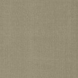 Kasmir Flynn Shale Fabric