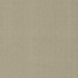 Kasmir Flynn Slate Fabric