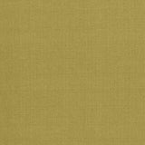 Kasmir Flynn Wasabi Fabric