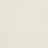 Lee Jofa LEWISIAN SHEER SILVER Drapery Fabric