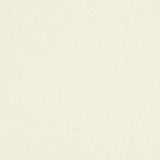 Lee Jofa LEWISIAN SHEER CELADON Drapery Fabric