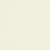 Lee Jofa Lewisian Sheer Celadon Fabric