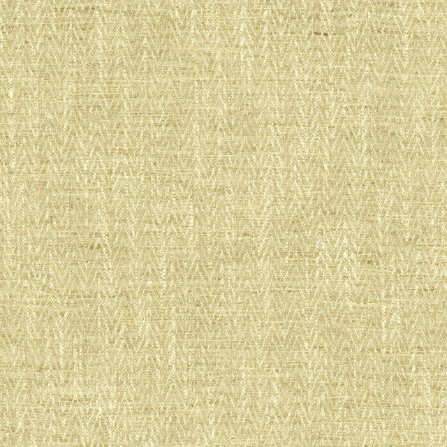 Kasmir Homestretch Cafe Fabric