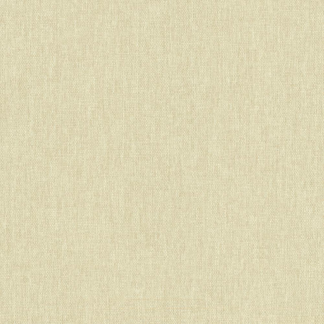 Kasmir Mateo Chamois Fabric