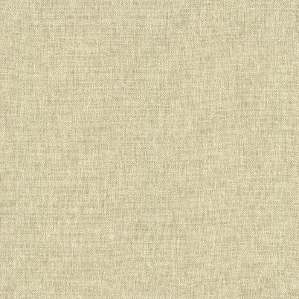 Kasmir Mateo Muslin Fabric