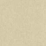 Kasmir Mateo Muslin Fabric