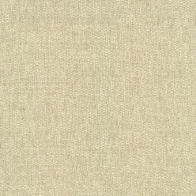 Kasmir Mateo Muslin Fabric