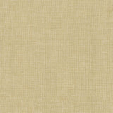 Kasmir Maura Chamois Fabric