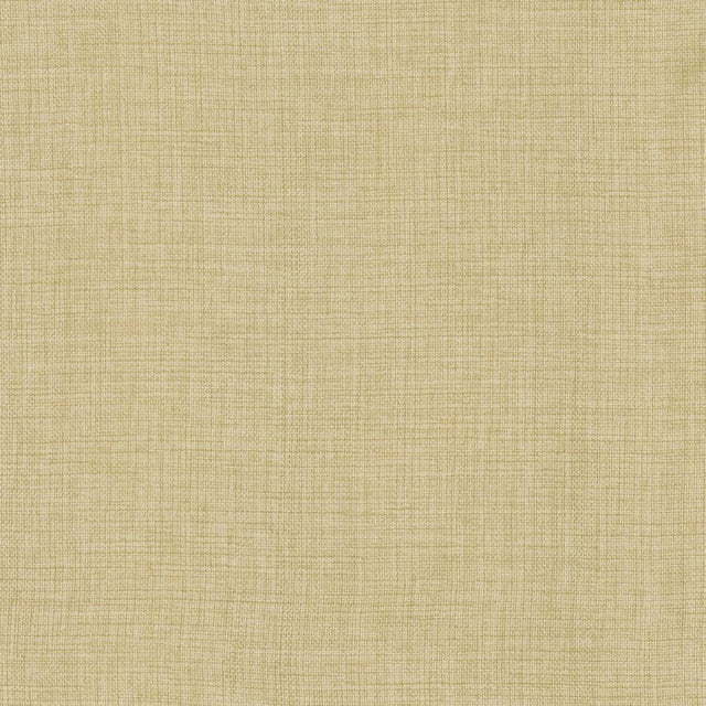 Kasmir Maura Chamois Fabric