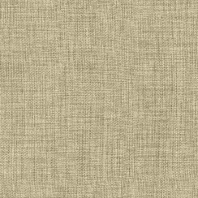 Kasmir Maura Linen Fabric
