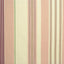 Baker Lifestyle ORSINO STRIPE PINK Fabric