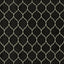 Kasmir Oh Geez Onyx Fabric