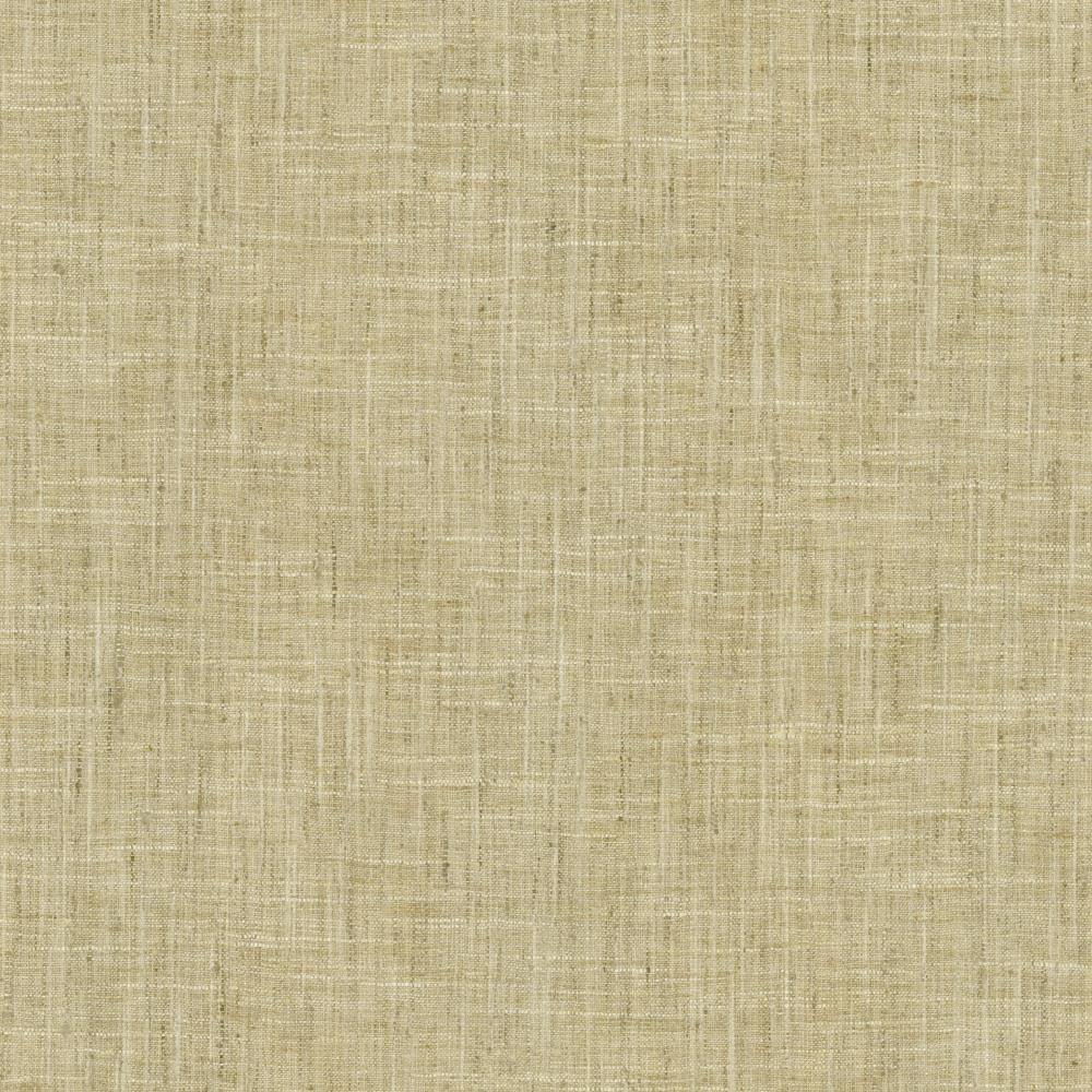 Kasmir Photo Finish Flannel Fabric