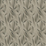 Kasmir Point Of View Smoke Fabric