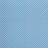 Schumacher Serendipity Blue Fabric