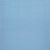Schumacher Serendipity Blue Fabric