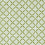 Schumacher Serendipity Green Fabric