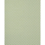 Schumacher Serendipity Green Fabric