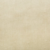 Lee Jofa DUCHESS VELVET BEIGE Upholstery Fabric