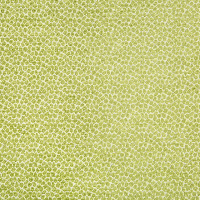 Kravet DESIGN 34682 3 Upholstery Fabric