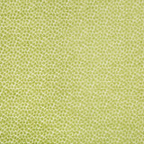 Kravet 34745 3 Fabric