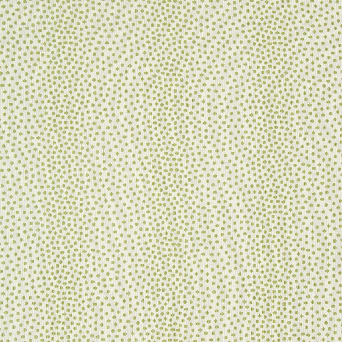 Kravet 34748 13 Fabric