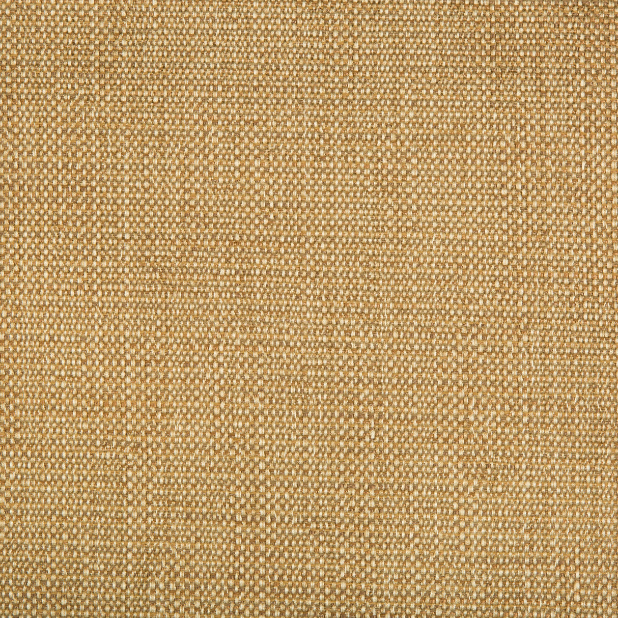 Kravet CONTRACT 34768 616 Upholstery Fabric