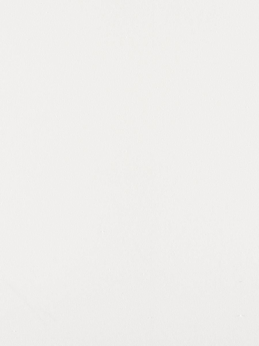 Scalamandre Canvas White Fabric