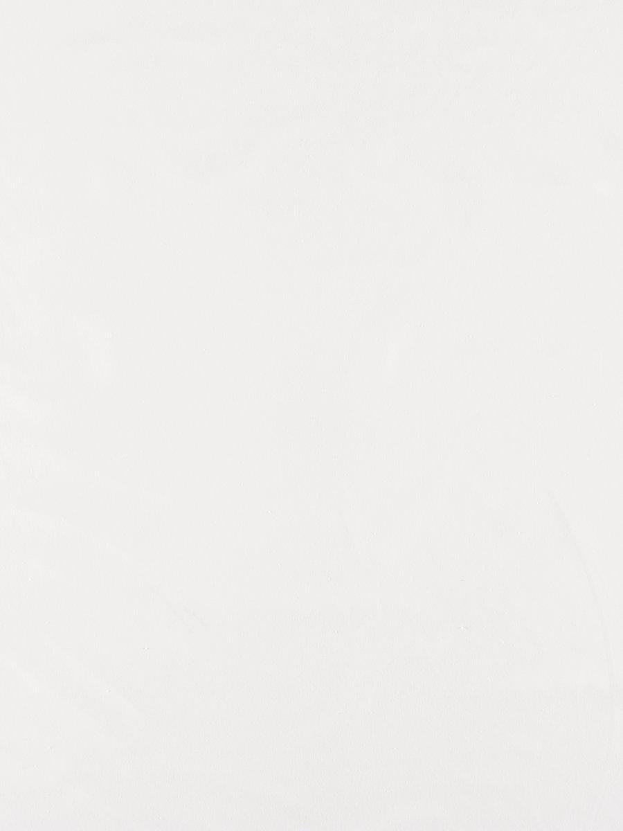 Scalamandre Canvas White Fabric