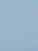 Scalamandre Canvas Bluebell Fabric