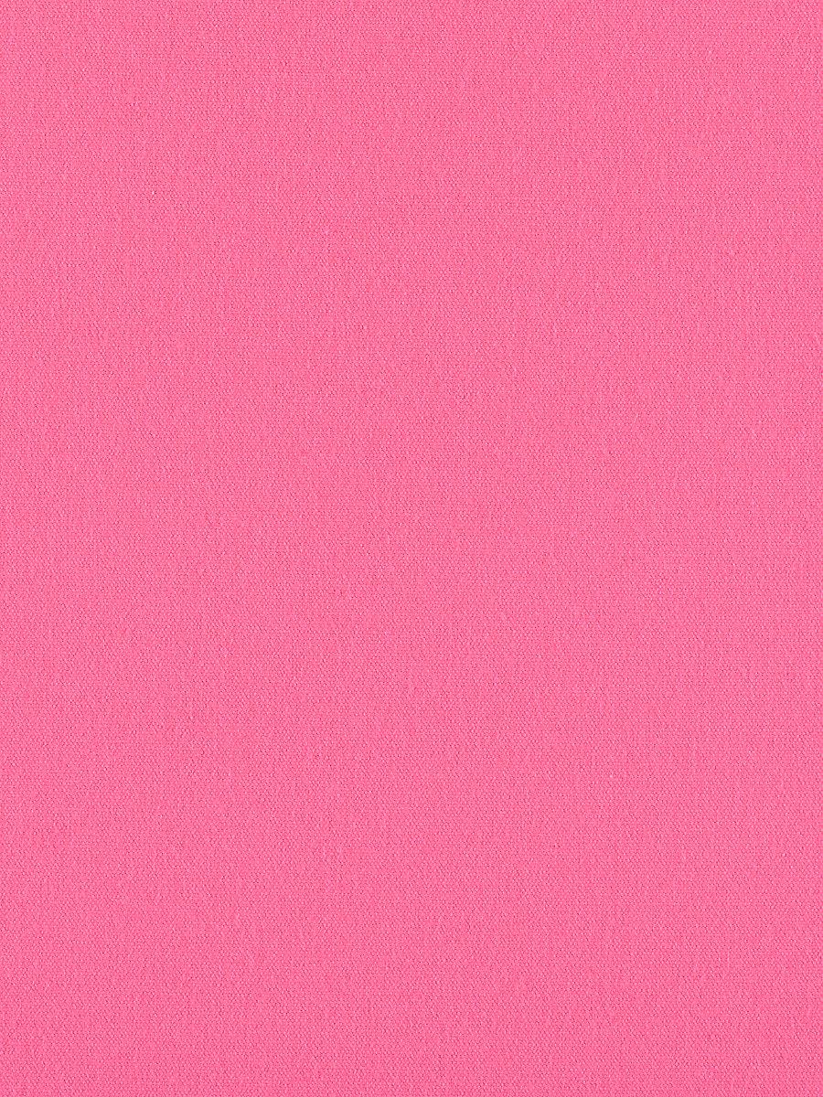 Scalamandre Canvas Blossom Fabric