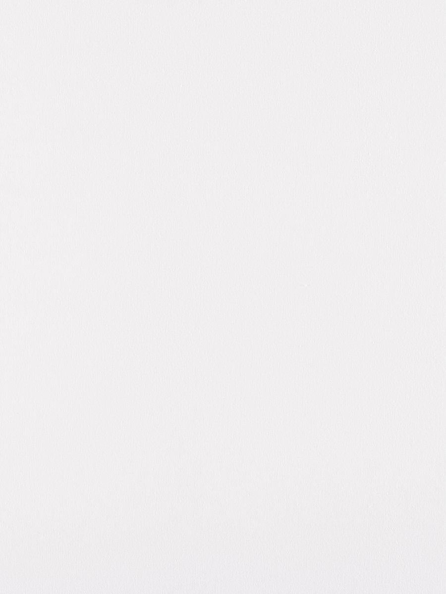 Scalamandre Canvas Optic White Fabric