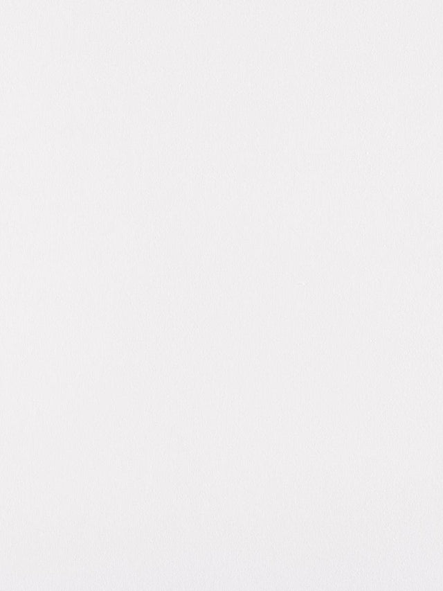 Scalamandre Canvas Optic White Fabric