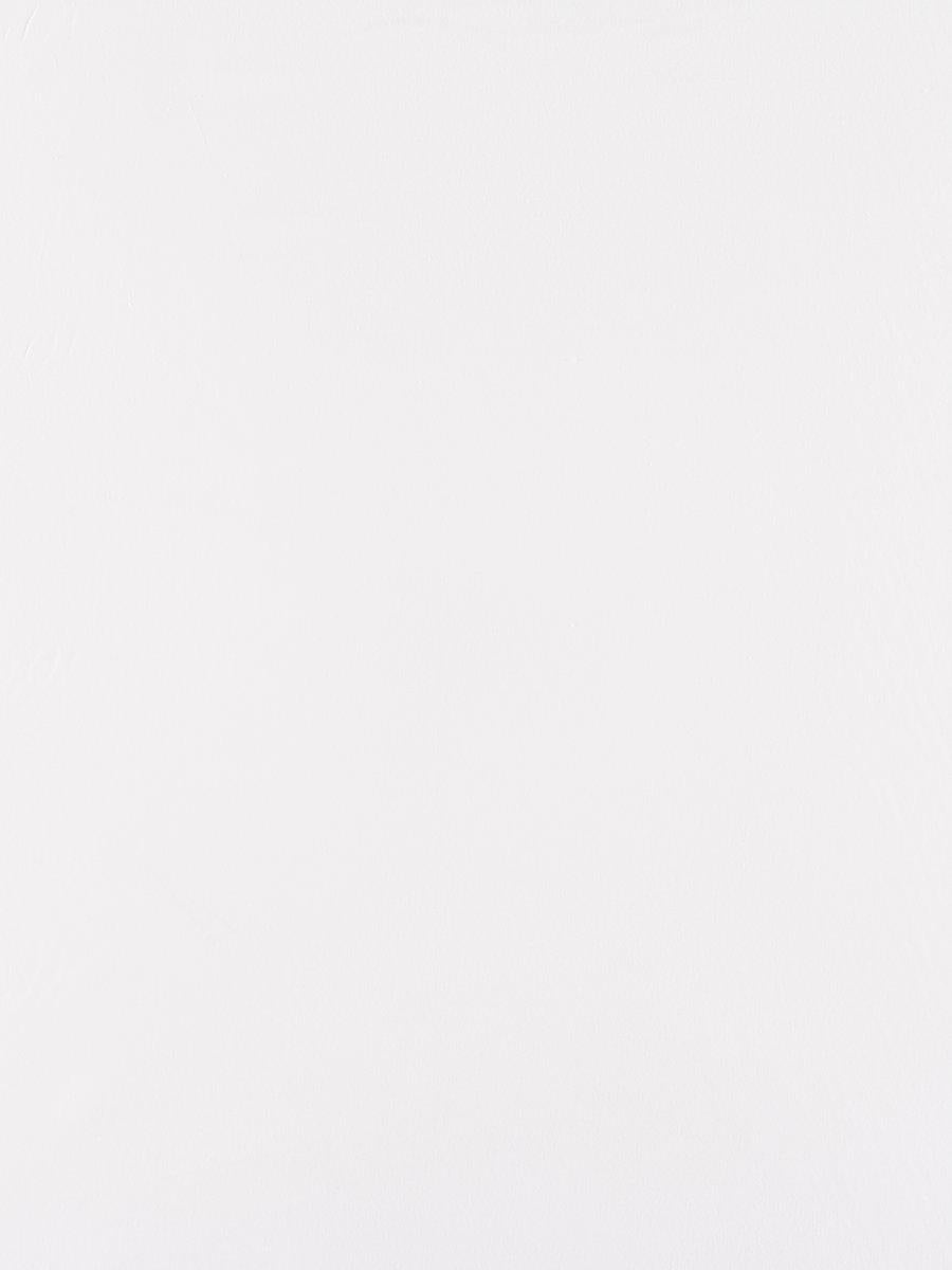 Scalamandre Canvas Optic White Fabric