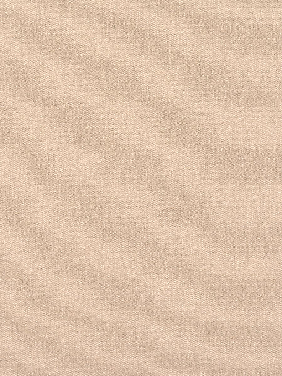 Scalamandre Canvas Latte Fabric