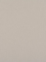 Scalamandre Canvas Sterling Fabric