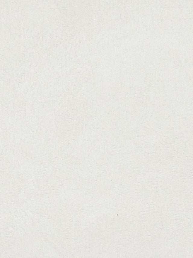 Scalamandre Sarabelle Suede Moonstone Fabric