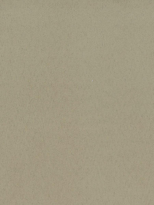 Scalamandre Sarabelle Suede Buckwheat Fabric