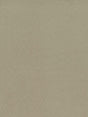 Scalamandre Sarabelle Suede Buckwheat Fabric