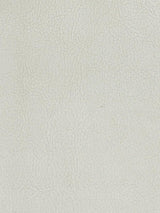 Scalamandre Georgia Suede Gesso Fabric