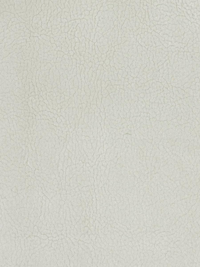 Scalamandre Georgia Suede Gesso Fabric
