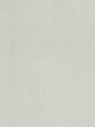 Scalamandre Georgia Suede Gesso Fabric