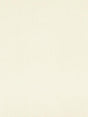 Scalamandre Georgia Suede Custard Fabric