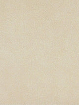 Scalamandre Georgia Suede Macadamia Fabric