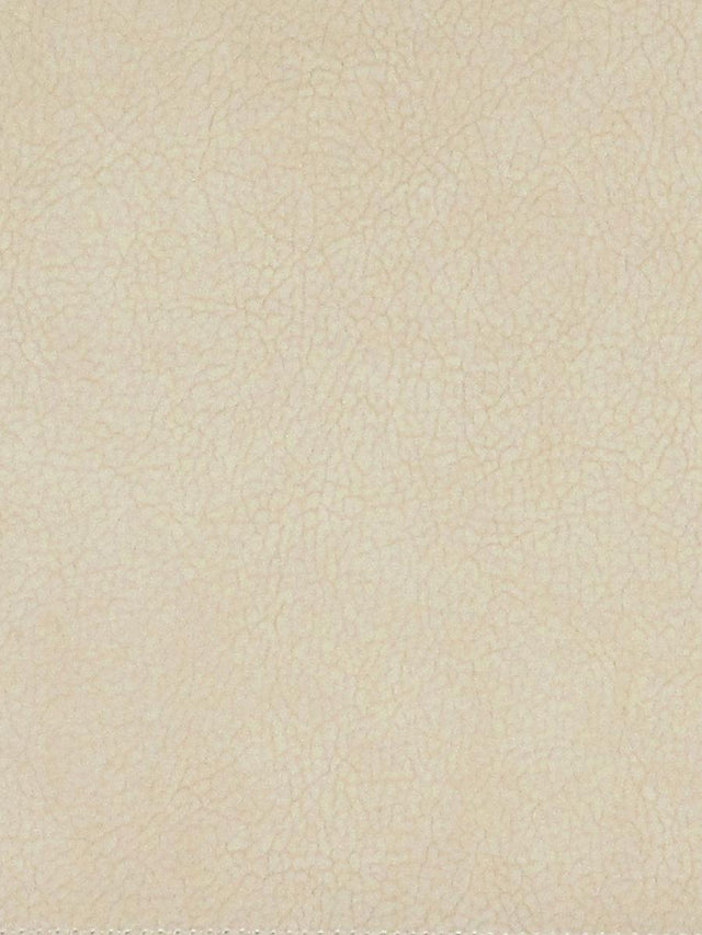 Scalamandre Georgia Suede Macadamia Fabric
